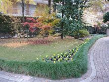 Перед Рождеством на поезде из Москвы...а целью был отдых на термальном курорте!