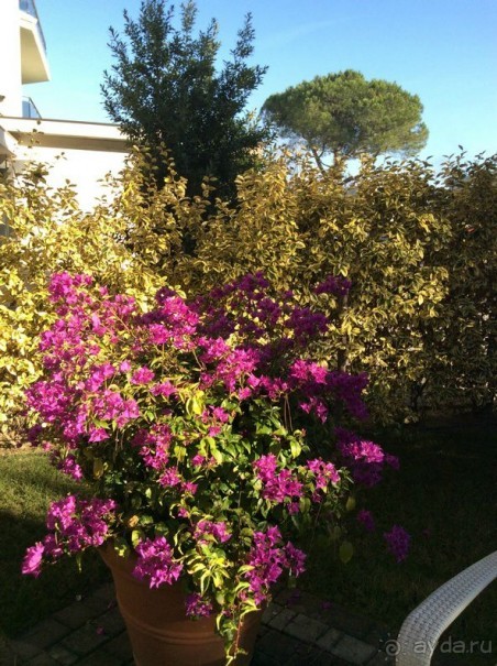 Перед Рождеством на поезде из Москвы...а целью был отдых на термальном курорте!