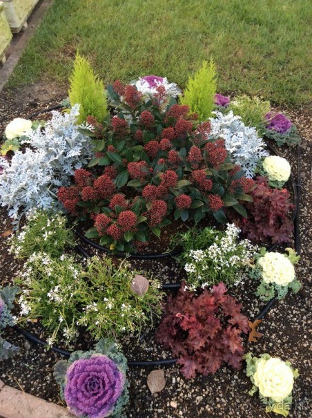 Перед Рождеством на поезде из Москвы...а целью был отдых на термальном курорте!