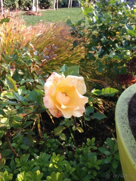 Перед Рождеством на поезде из Москвы...а целью был отдых на термальном курорте!