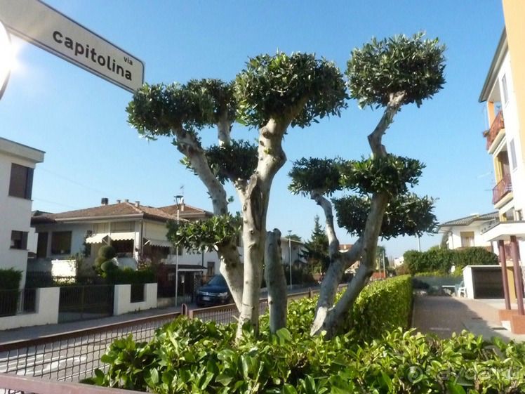 Перед Рождеством на поезде из Москвы...а целью был отдых на термальном курорте!