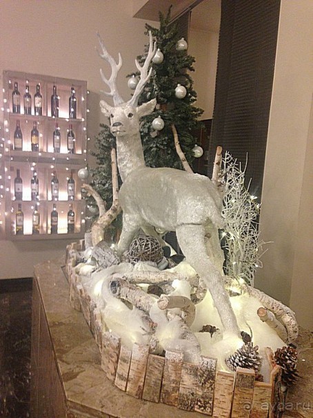 Перед Рождеством на поезде из Москвы...а целью был отдых на термальном курорте!