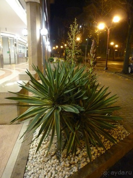 Перед Рождеством на поезде из Москвы...а целью был отдых на термальном курорте!