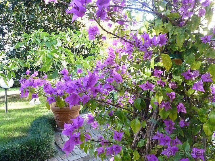 Перед Рождеством на поезде из Москвы...а целью был отдых на термальном курорте!