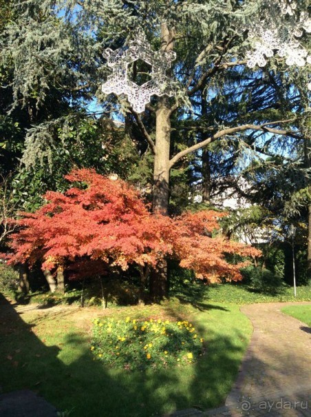 Перед Рождеством на поезде из Москвы...а целью был отдых на термальном курорте!