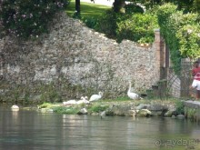 неожиданный Тревизо, называют его маленькой Венецией