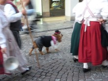 неожиданный Тревизо, называют его маленькой Венецией