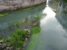 неожиданный Тревизо, называют его маленькой Венецией