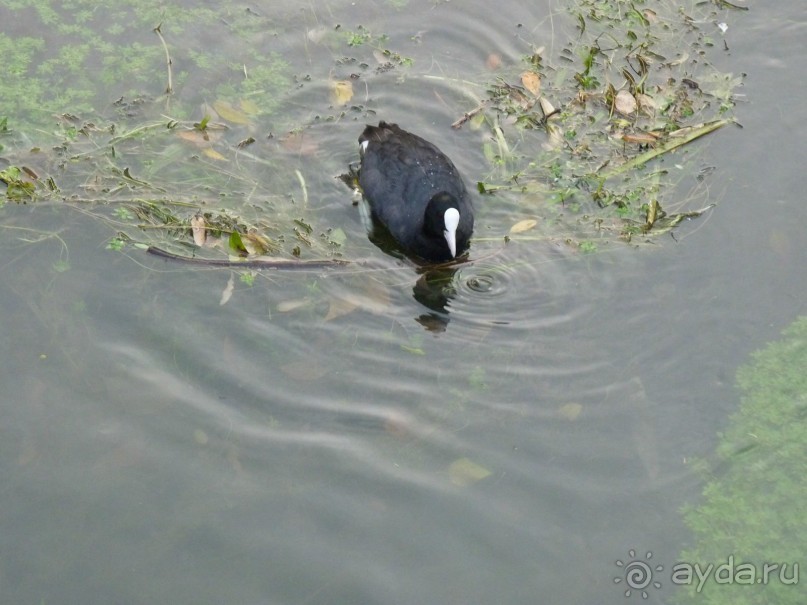 неожиданный Тревизо, называют его маленькой Венецией