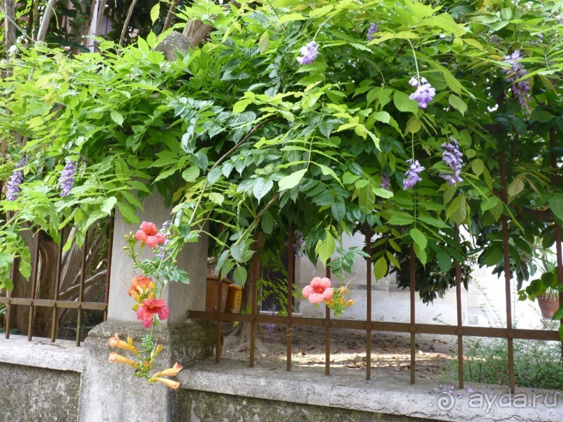 неожиданный Тревизо, называют его маленькой Венецией