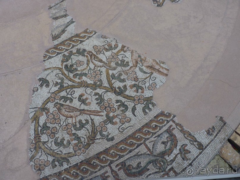 неожиданный Тревизо, называют его маленькой Венецией