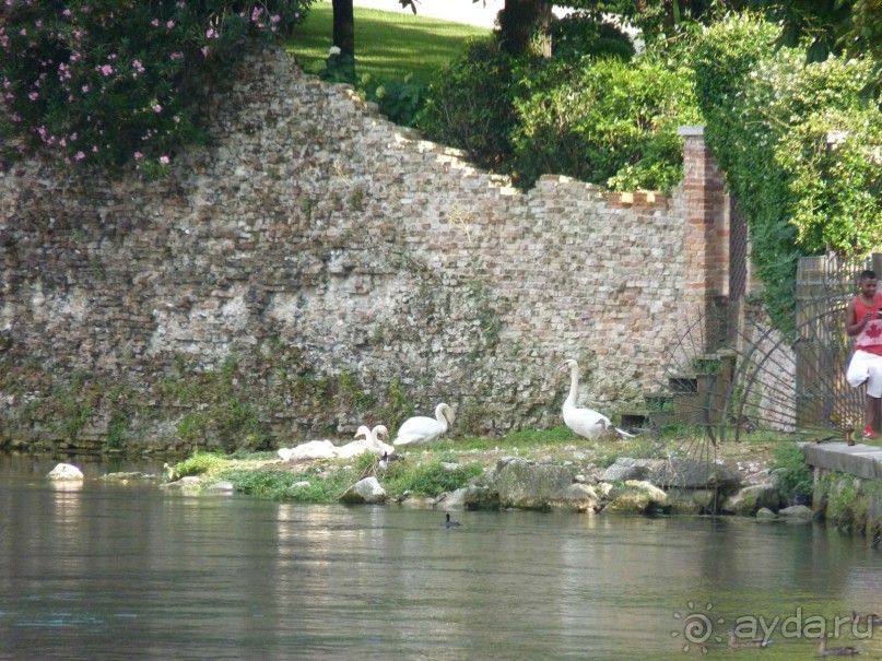 неожиданный Тревизо, называют его маленькой Венецией