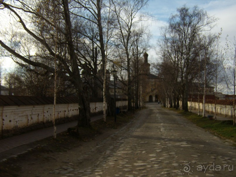 Березовая аллея