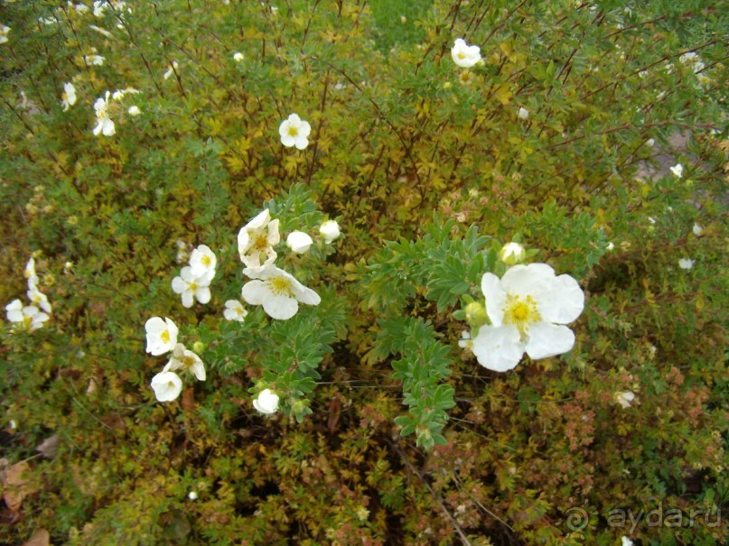 Из Москвы в Москву через Вологду и Кострому
