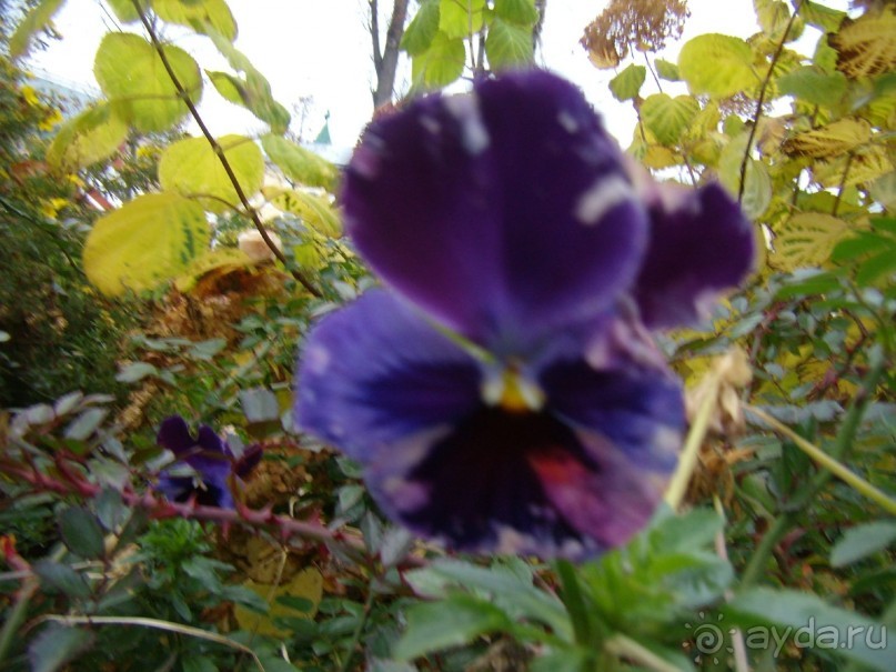 Из Москвы в Москву через Вологду и Кострому