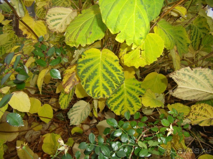 Из Москвы в Москву через Вологду и Кострому