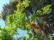 III. Как-бы не планировали маршрут, но цель всегда одна — Хорватия!