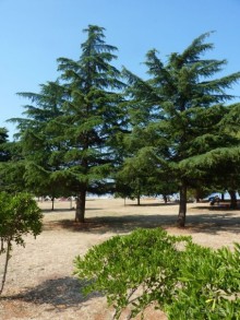 III. Как-бы не планировали маршрут, но цель всегда одна — Хорватия!