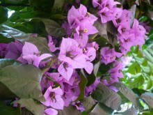 III. Как-бы не планировали маршрут, но цель всегда одна — Хорватия!