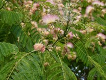 III. Как-бы не планировали маршрут, но цель всегда одна — Хорватия!