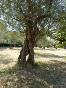 III. Как-бы не планировали маршрут, но цель всегда одна — Хорватия!