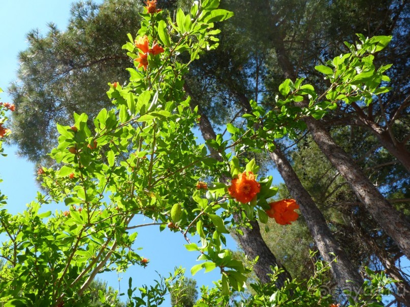 III. Как-бы не планировали маршрут, но цель всегда одна — Хорватия!