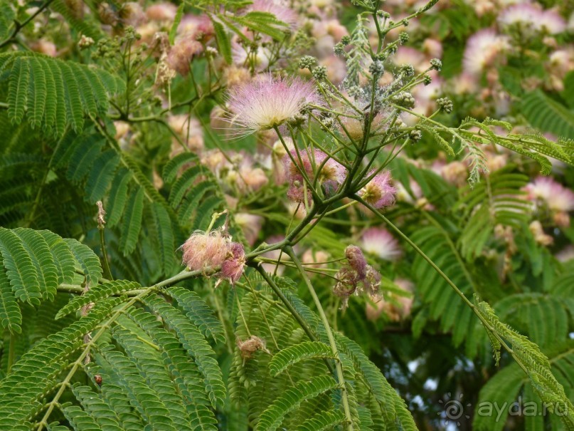 III. Как-бы не планировали маршрут, но цель всегда одна — Хорватия!