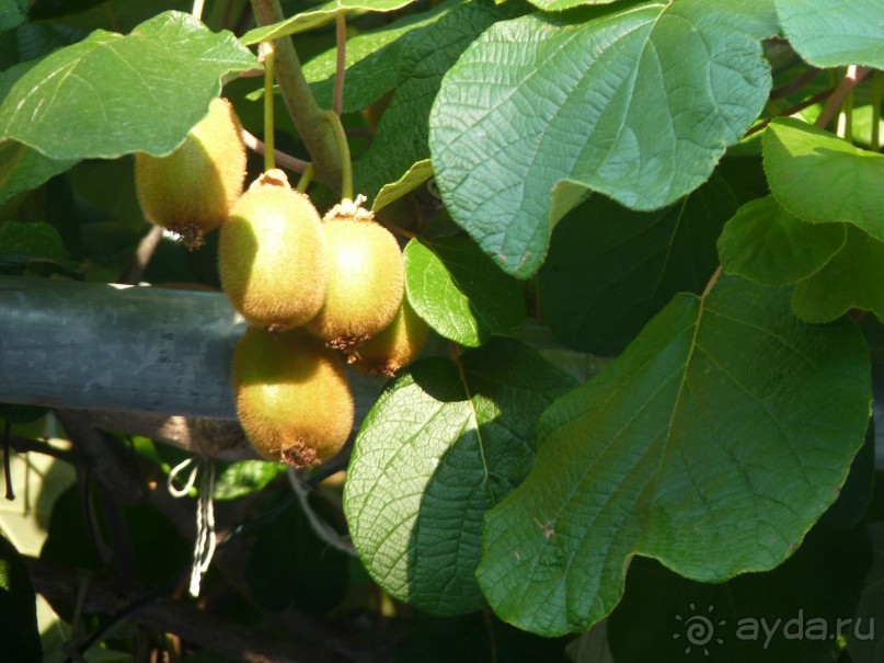 III. Как-бы не планировали маршрут, но цель всегда одна — Хорватия!