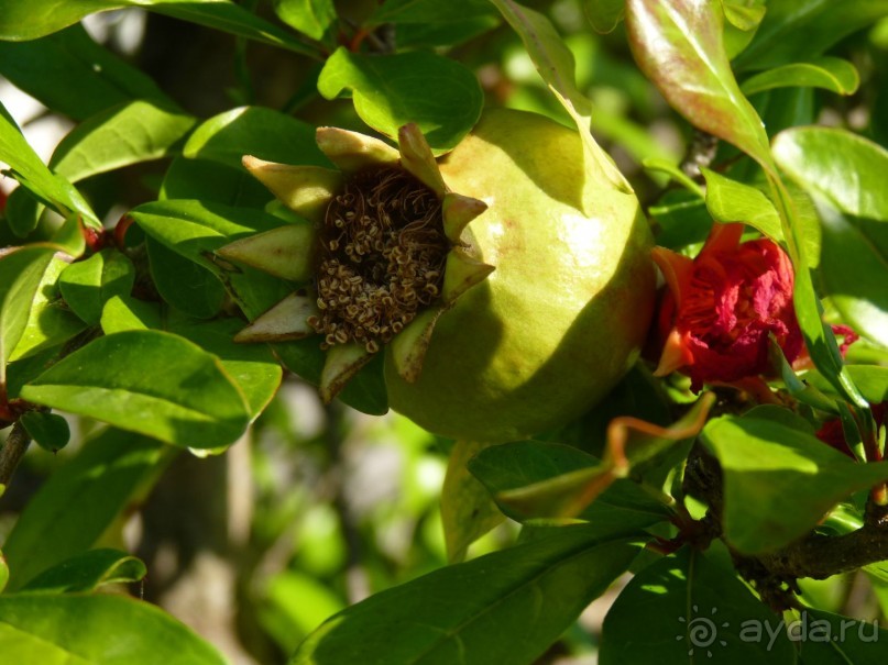 III. Как-бы не планировали маршрут, но цель всегда одна — Хорватия!