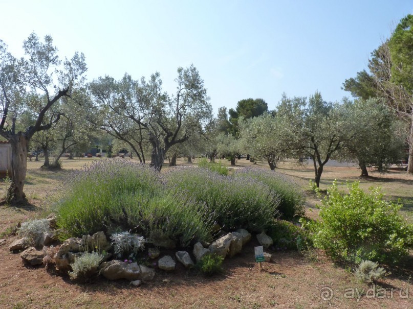 III. Как-бы не планировали маршрут, но цель всегда одна — Хорватия!