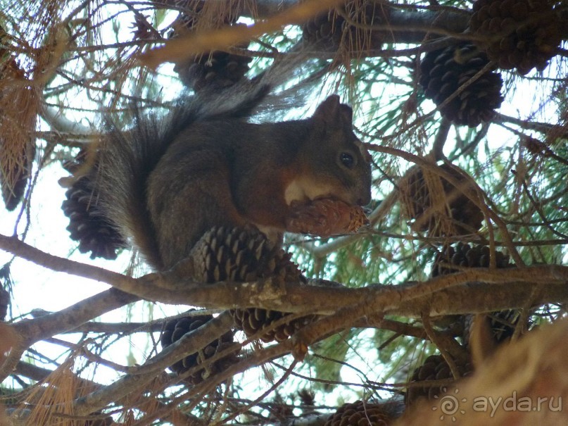 III. Как-бы не планировали маршрут, но цель всегда одна — Хорватия!