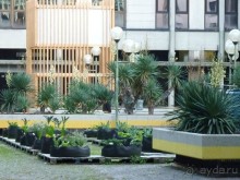 Перед Рождеством отдых на термальном курорте. Прогулка по Падуе. 