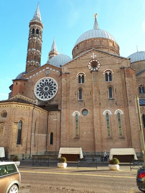 Перед Рождеством отдых на термальном курорте. Прогулка по Падуе. 