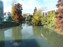 Перед Рождеством отдых на термальном курорте. Прогулка по Падуе. 