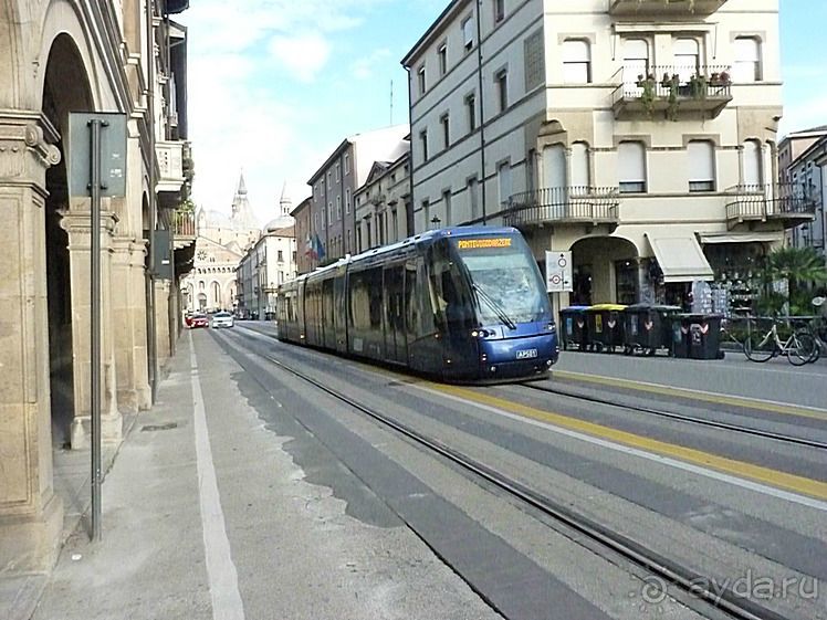 Перед Рождеством отдых на термальном курорте. Прогулка по Падуе. 