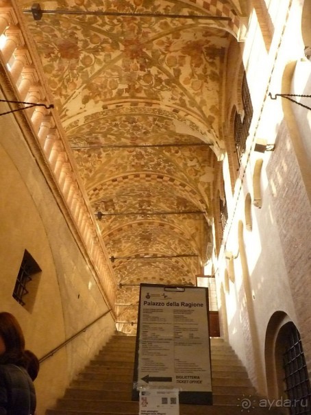 Перед Рождеством отдых на термальном курорте. Прогулка по Падуе. 