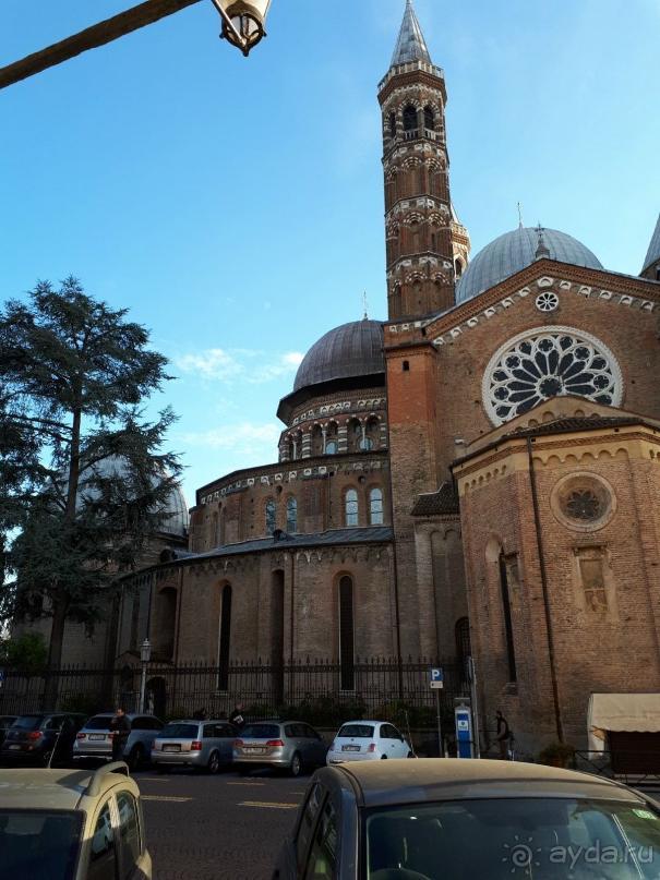 Перед Рождеством отдых на термальном курорте. Прогулка по Падуе. 