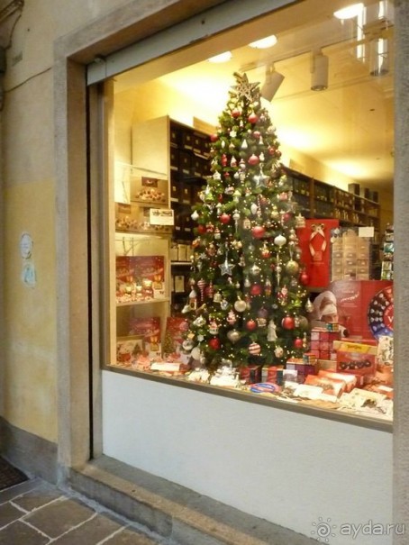 Перед Рождеством отдых на термальном курорте. Прогулка по Падуе. 