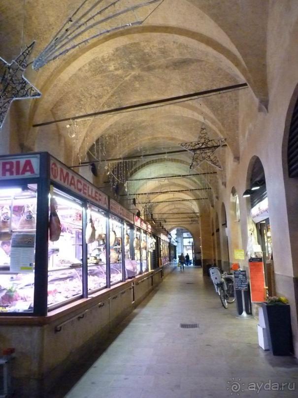 Перед Рождеством отдых на термальном курорте. Прогулка по Падуе. 