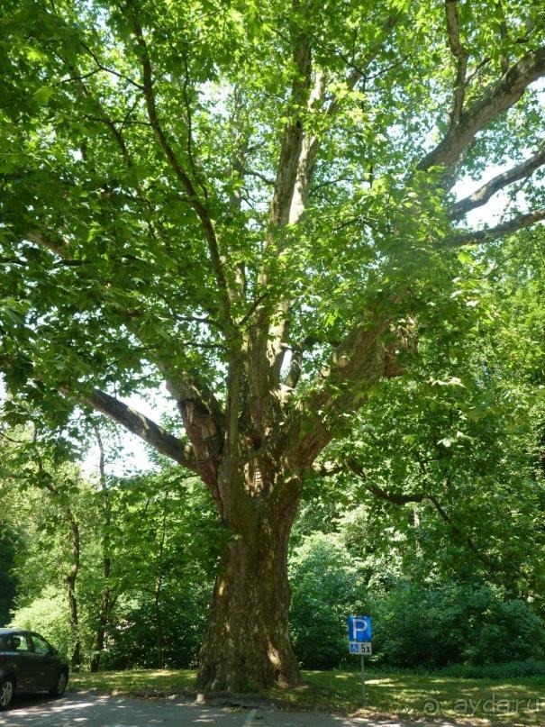Еще одно путешествие с посещением Чехии, Австрии, Словении и отдыхом в Хорватии
