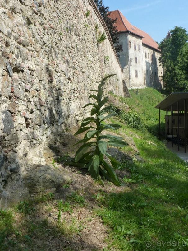 Еще одно путешествие с посещением Чехии, Австрии, Словении и отдыхом в Хорватии