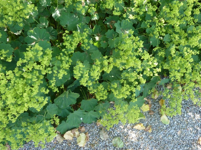 Еще одно путешествие с посещением Чехии, Австрии, Словении и отдыхом в Хорватии