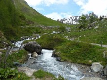 Альпийская дорога - только для туристов