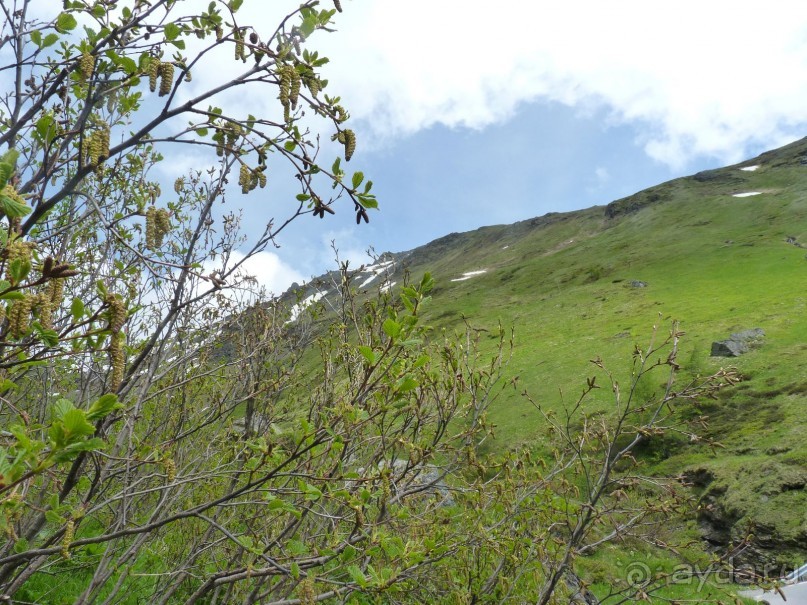 Альпийская дорога - только для туристов