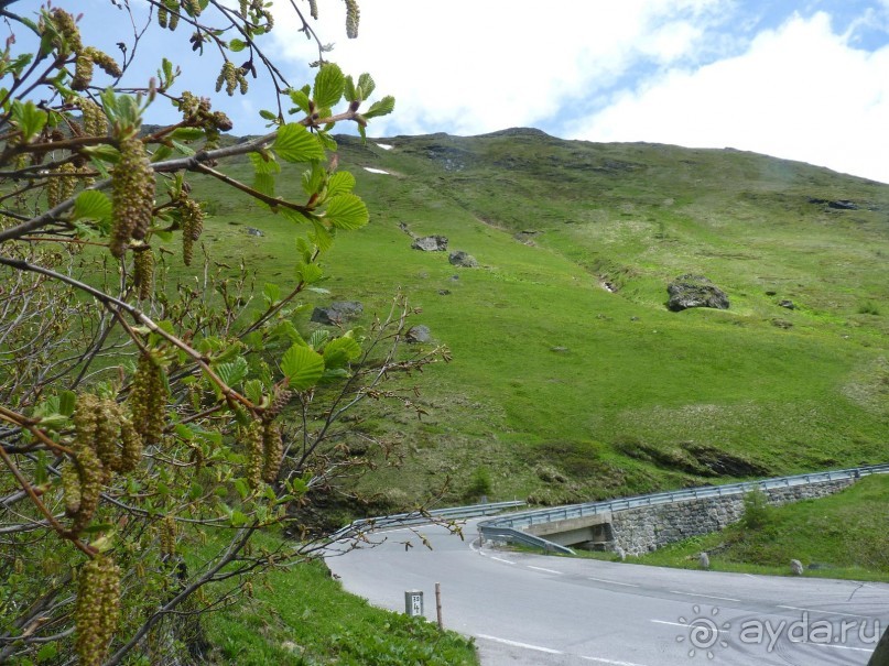 Альпийская дорога - только для туристов