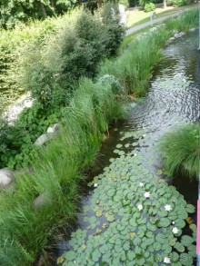 Австрия, Австрия!!  опять через Австрию