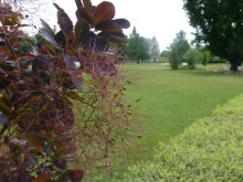 Австрия, Австрия!!  опять через Австрию