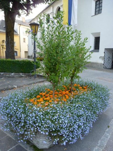 Австрия, Австрия!!  опять через Австрию