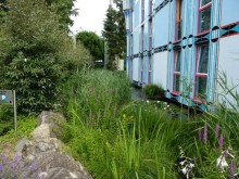 Австрия, Австрия!!  опять через Австрию