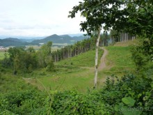 Альбом отзыва "Австрия, Австрия!!  опять через Австрию"